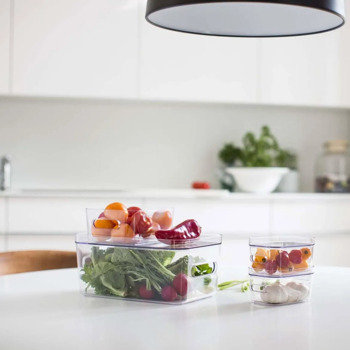 Boîte de rangement transparente pour réfrigérateur S