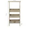 Etagère à plantes échelle