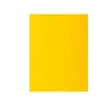 100 sous-chemises papier