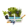 5 étiquettes ardoise pour plantes